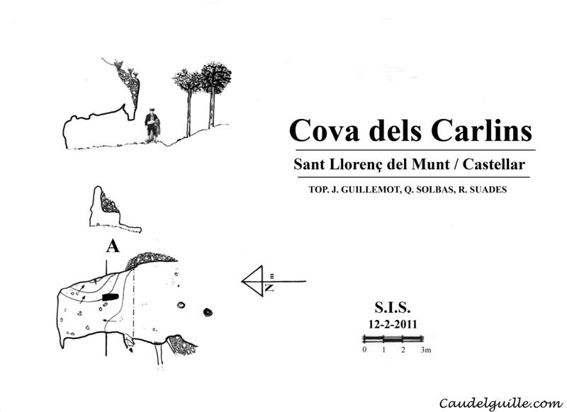 carlins cova medium